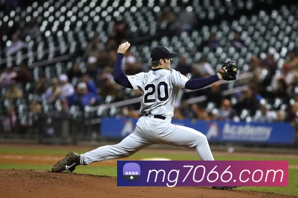 MG娱乐平台官网平台生态图